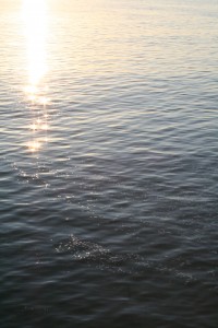 IMG_8752