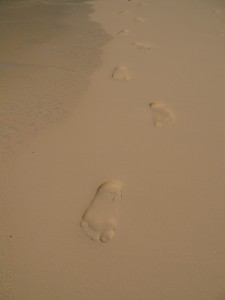157 Footsteps-Half Moon Cay