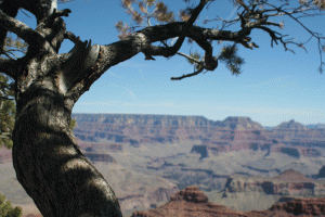 canyon